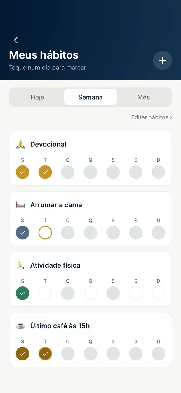 Construa o que você quer ser